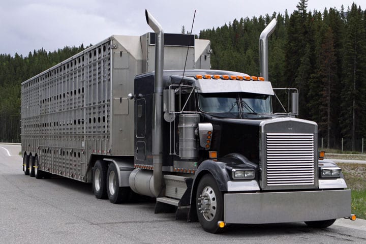 A big trailer on the road with a forest in the background